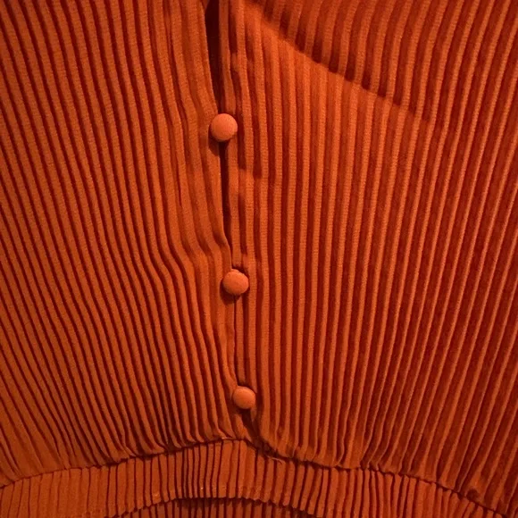 251- ryegrass Pleated V-Neck Blouse - Rust - Picture 3 of 4